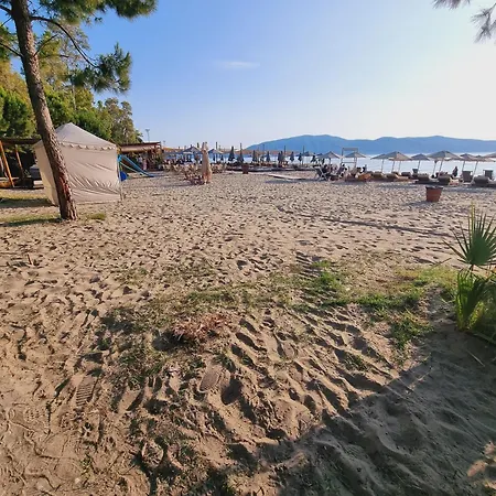 Teo's K Vlore